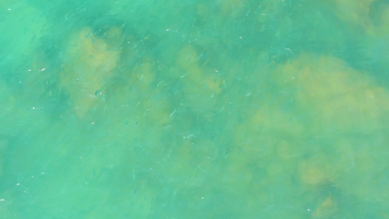The frame looks down into turquoise water at El Tule Beach in Los Cabos, where pale underwater forms and a few small fish sit beneath light ripples, with no visible people.