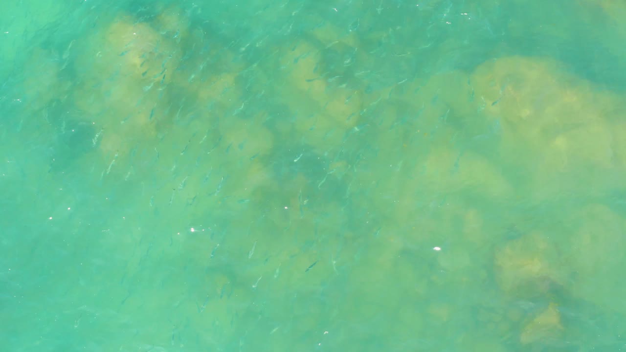 At El Tule Beach in Los Cabos, clustered pale seabed patches appear under turquoise water with faint small fish and scattered surface highlights, with no visible people.