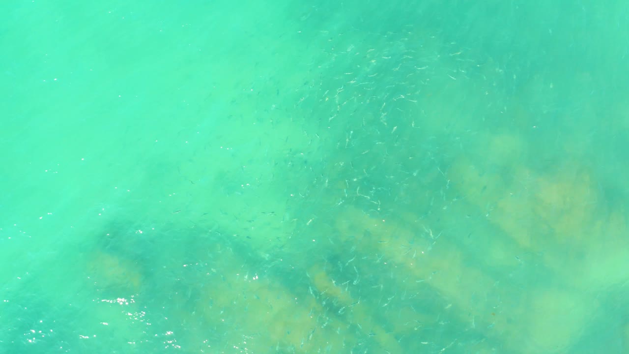 At El Tule Beach Los Cabos, clear turquoise water reveals pale underwater rocks and faint clusters of small fish, with no visible people.