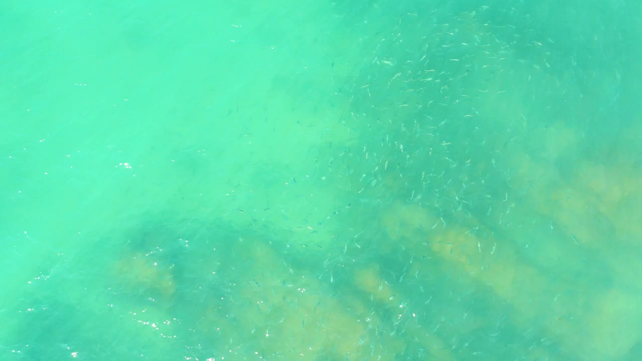 At El Tule Beach Los Cabos, fish streaks are visible near yellow-green submerged rock patches under clear turquoise water, with no visible people.