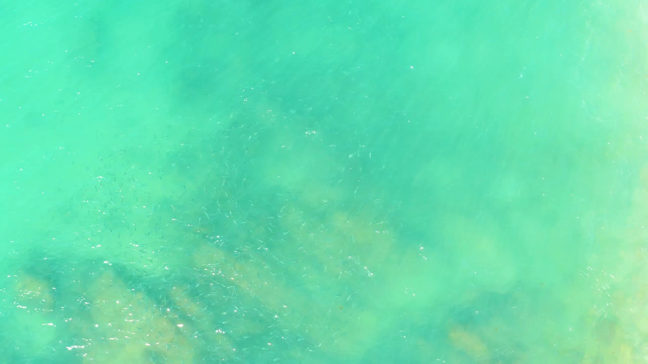 Clear turquoise water at El Tule Beach in Los Cabos reveals darker seabed shapes below a lightly rippled surface, with no visible people.