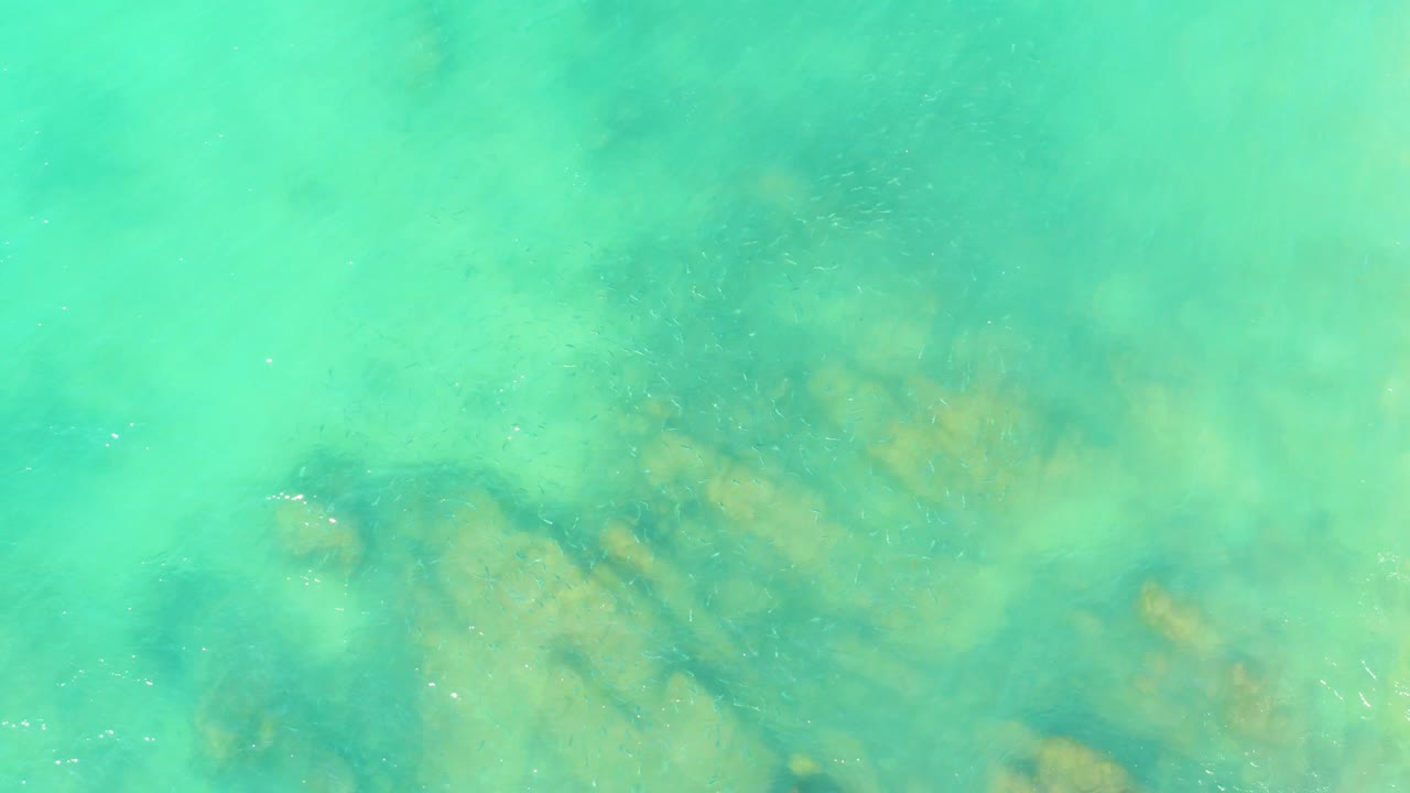 Top-down view of clear turquoise water over rocky seabed shapes at El Tule Beach in Los Cabos, with no visible people.
