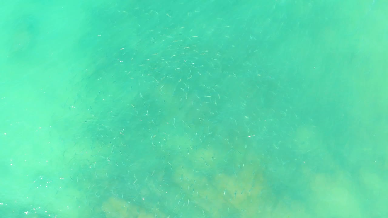 Green-blue clear water fills the frame at El Tule Beach, with faint clusters of small fish and no shoreline or people visible.