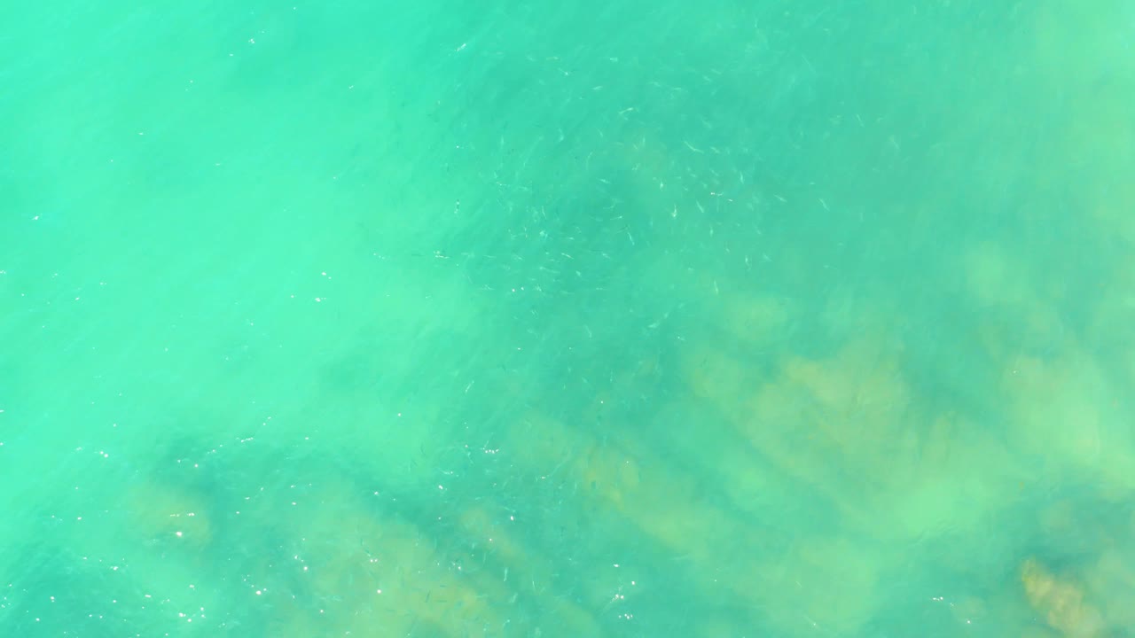 Overhead shallow water at El Tule Beach Los Cabos shows visible rock shapes through pale turquoise ripples and no visible people.