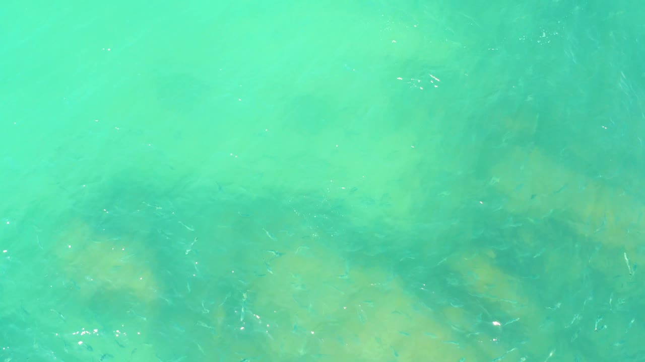 Turquoise shallows at El Tule Beach show small fish spread across the frame while darker submerged rocks sit beneath shifting ripples, with no visible people.