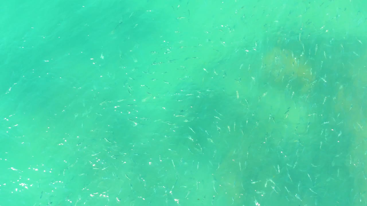 A broad top-down view shows tiny fish specks across clear turquoise ocean water, with faint underwater patches and no visible people.
