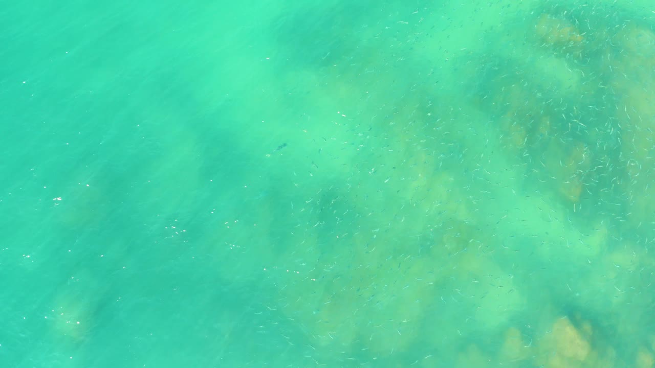 At El Tule Beach in Los Cabos, small fish are more visible as scattered dark specks in turquoise water above mottled seabed, with no visible people.