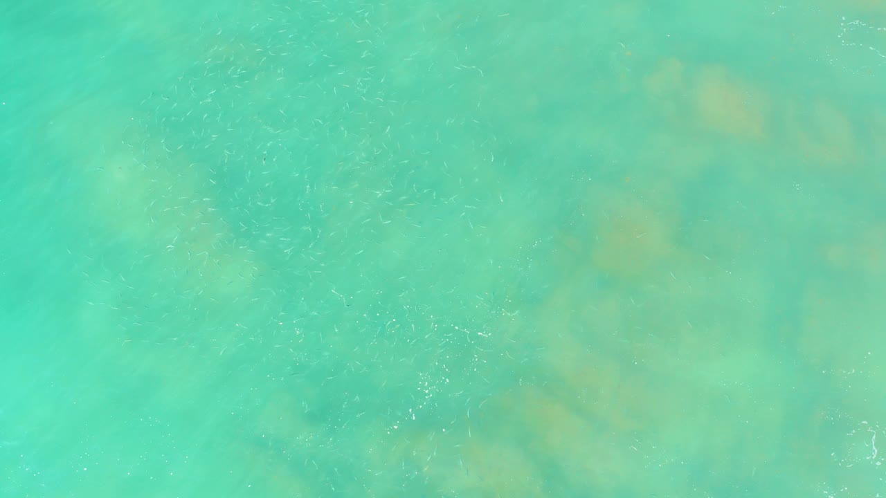 Top-down view of turquoise water at El Tule Beach in Los Cabos, with pale submerged seabed patches and no visible people.