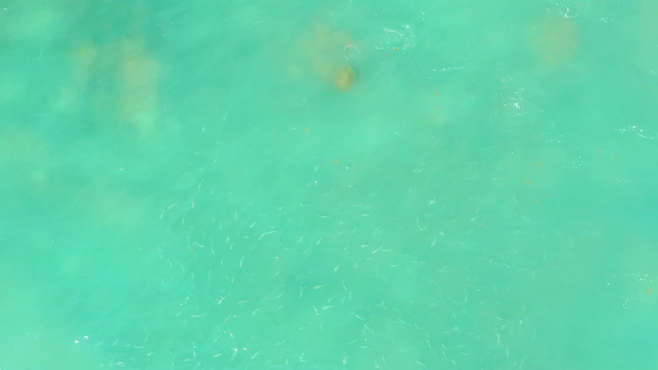 Turquoise shallow seawater with faint coral patches and small fish below the surface.