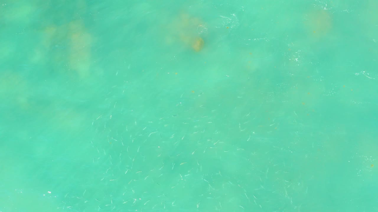 A second downward frame shows El Tule Beach turquoise water with pale underwater coral or rock areas and scattered small fish just visible beneath the surface, no visible people.