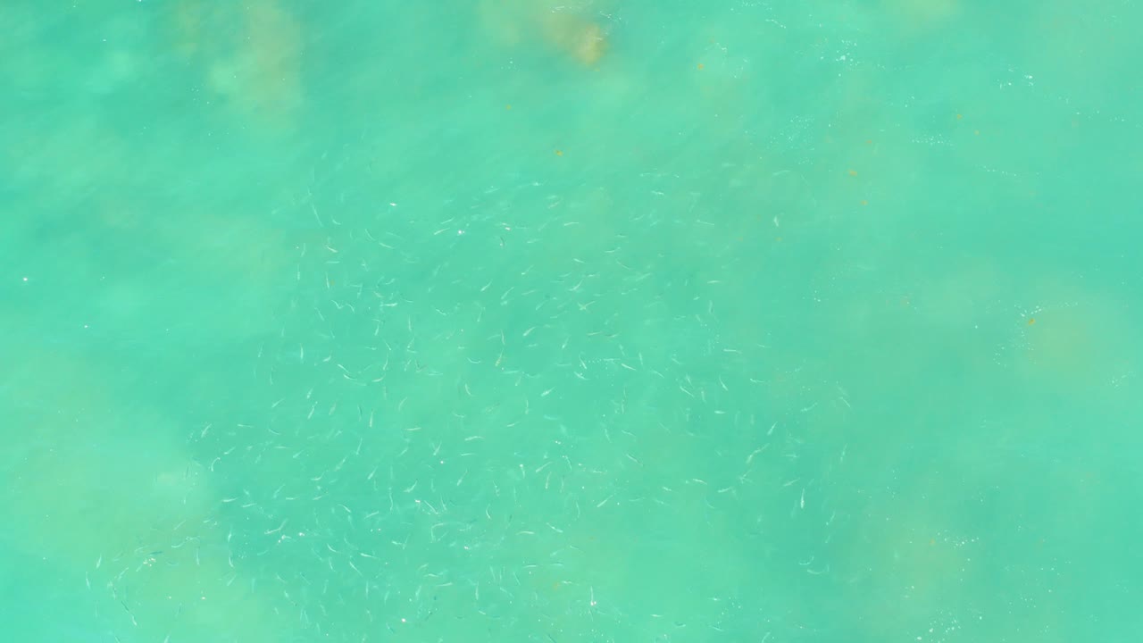 Mid-clip frame of shallow turquoise water at El Tule Beach Los Cabos, with soft pale patches below the surface and tiny fish specks visible through the water, no visible people.