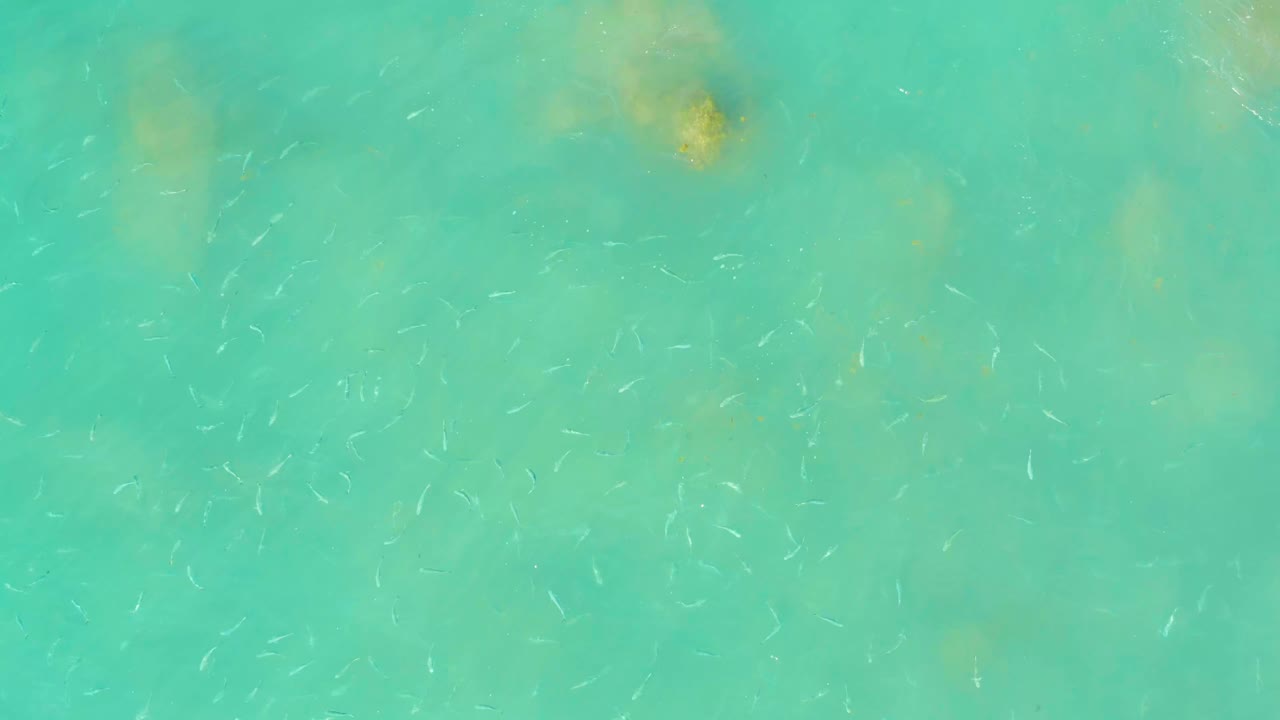Top-down view of turquoise water at El Tule Beach in Los Cabos with faint small fish, tan underwater patches near the top edge, and no visible people.