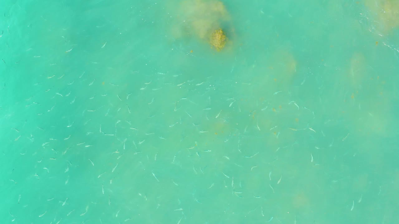 Green-blue shallow water at El Tule Beach in Los Cabos contains faint small fish across the frame, with muted underwater patches and no visible people.
