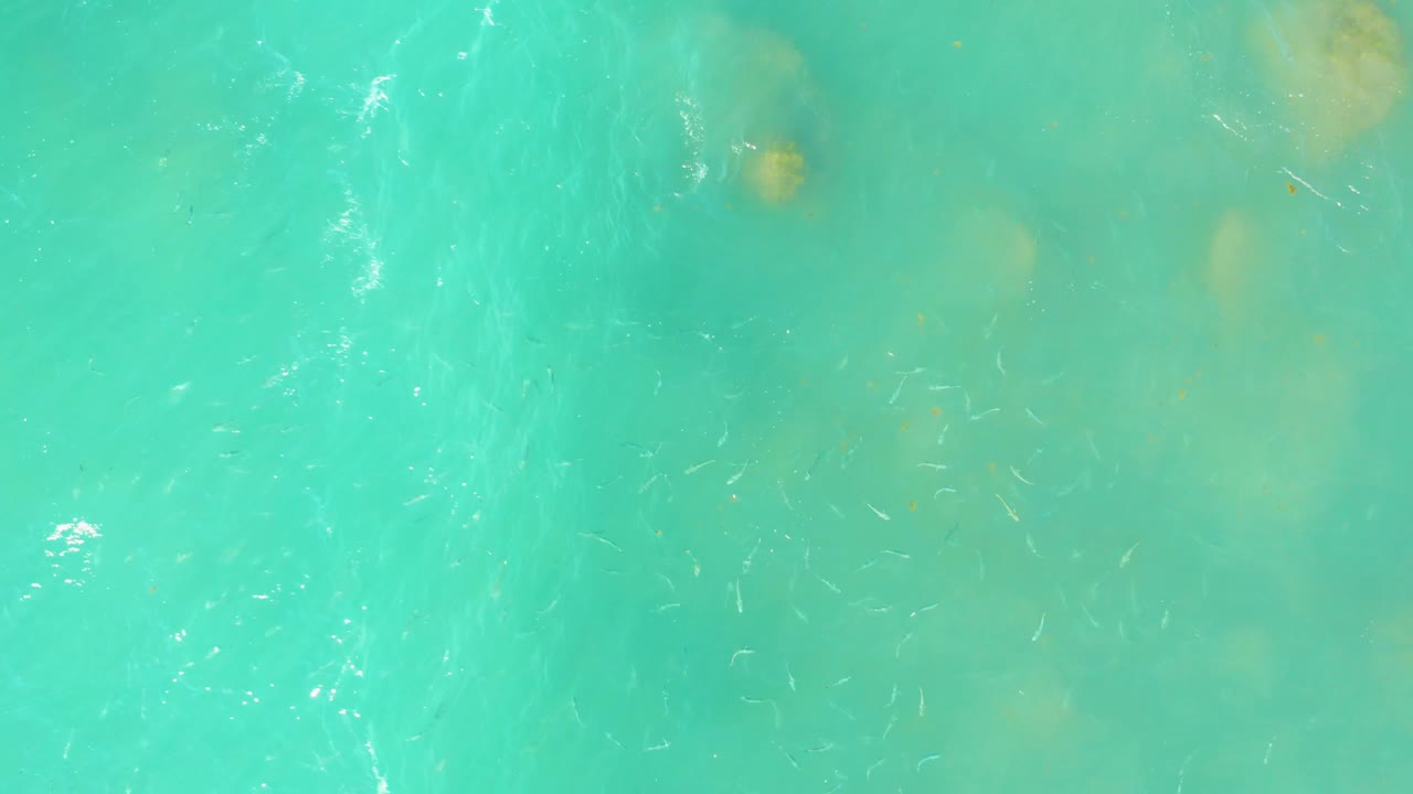 Turquoise water with small fish and the first bright surface foam.