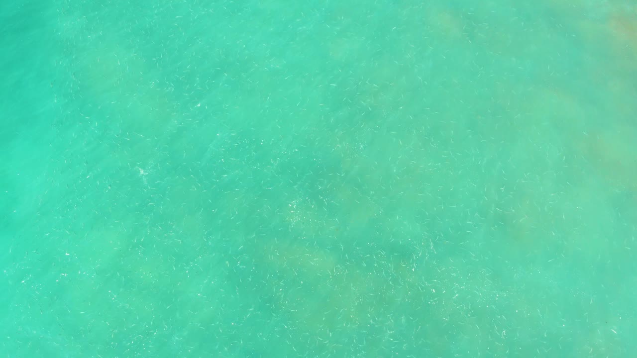 Opening overhead view of turquoise shallow water at El Tule Beach Los Cabos, with faint seabed texture and no visible people.