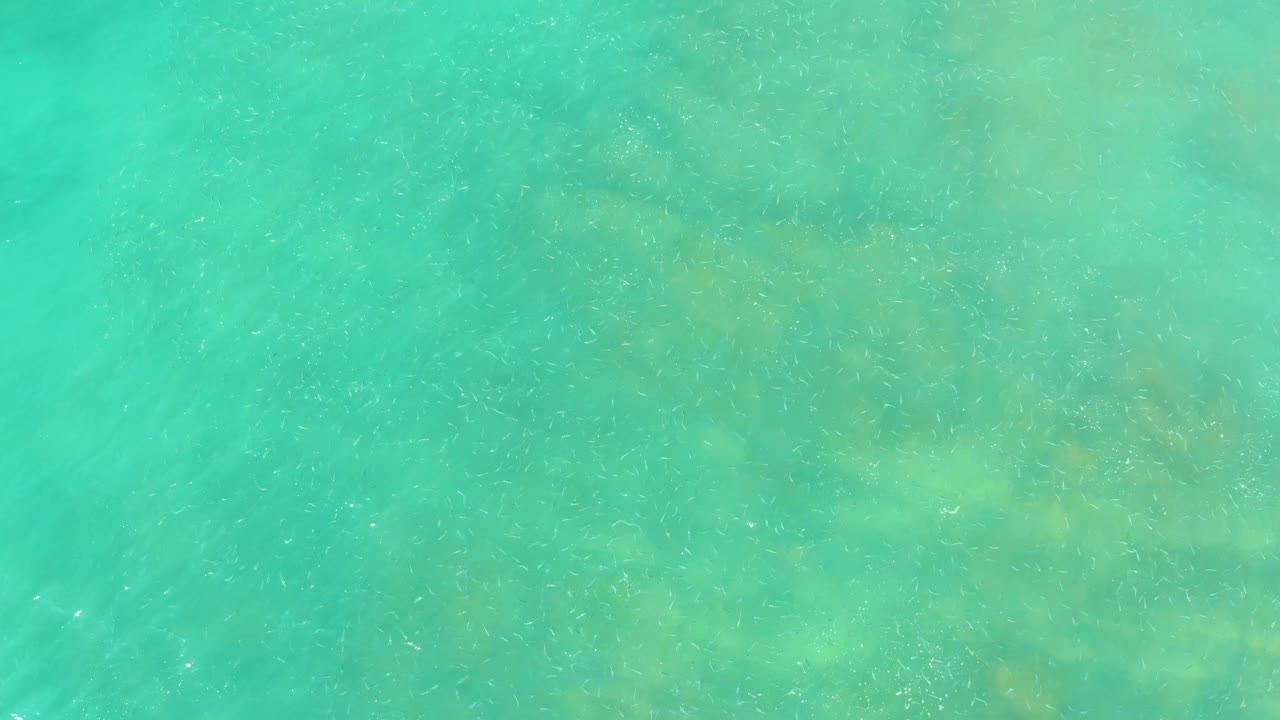 Clear turquoise ocean surface with soft ripple lines