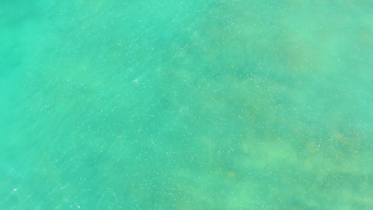 Aerial view of shallow turquoise water at El Tule Beach in Los Cabos, with muted green and sandy patches below the moving surface and no visible people.