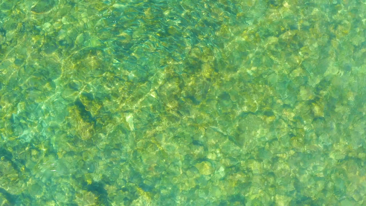 Green-turquoise shallow water at El Tule Beach Los Cabos reveals a mottled rocky bottom beneath soft surface movement, with no visible people.