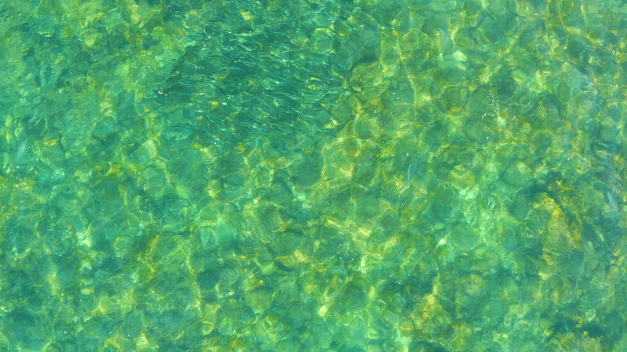 Overhead view of clear turquoise-green water at El Tule Beach in Los Cabos, with refracted light on the shallow bottom and no visible people.