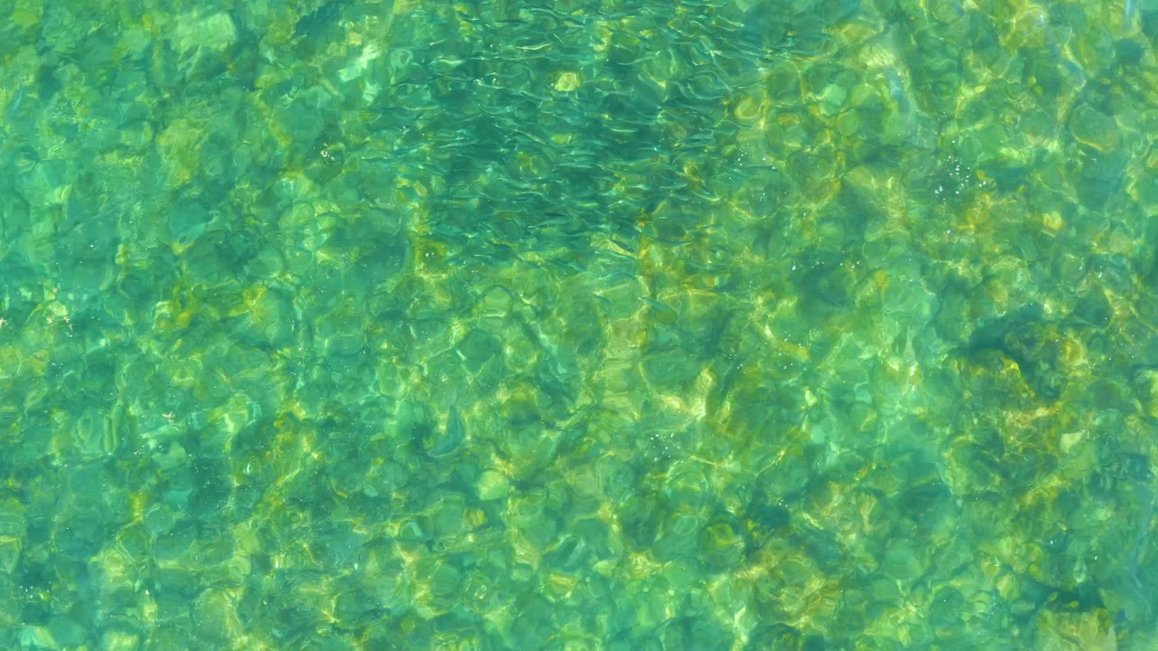 An overhead frame of transparent green-blue water at El Tule Beach in Los Cabos shows fine surface ripples and a mottled bottom texture, with no visible people.