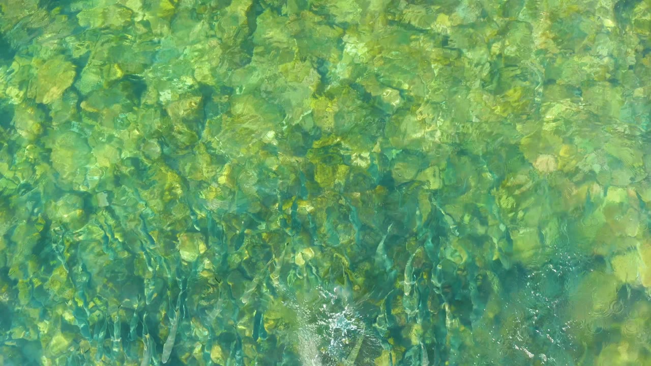 Clear shallow water over rocks with green and turquoise light.