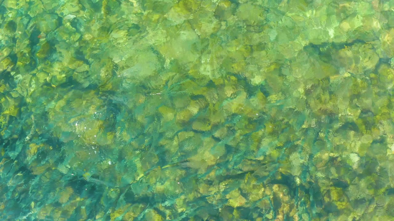The mid-clip frame shows a broad field of submerged rocks under clear El Tule Beach water, with softer green highlights and no visible people.