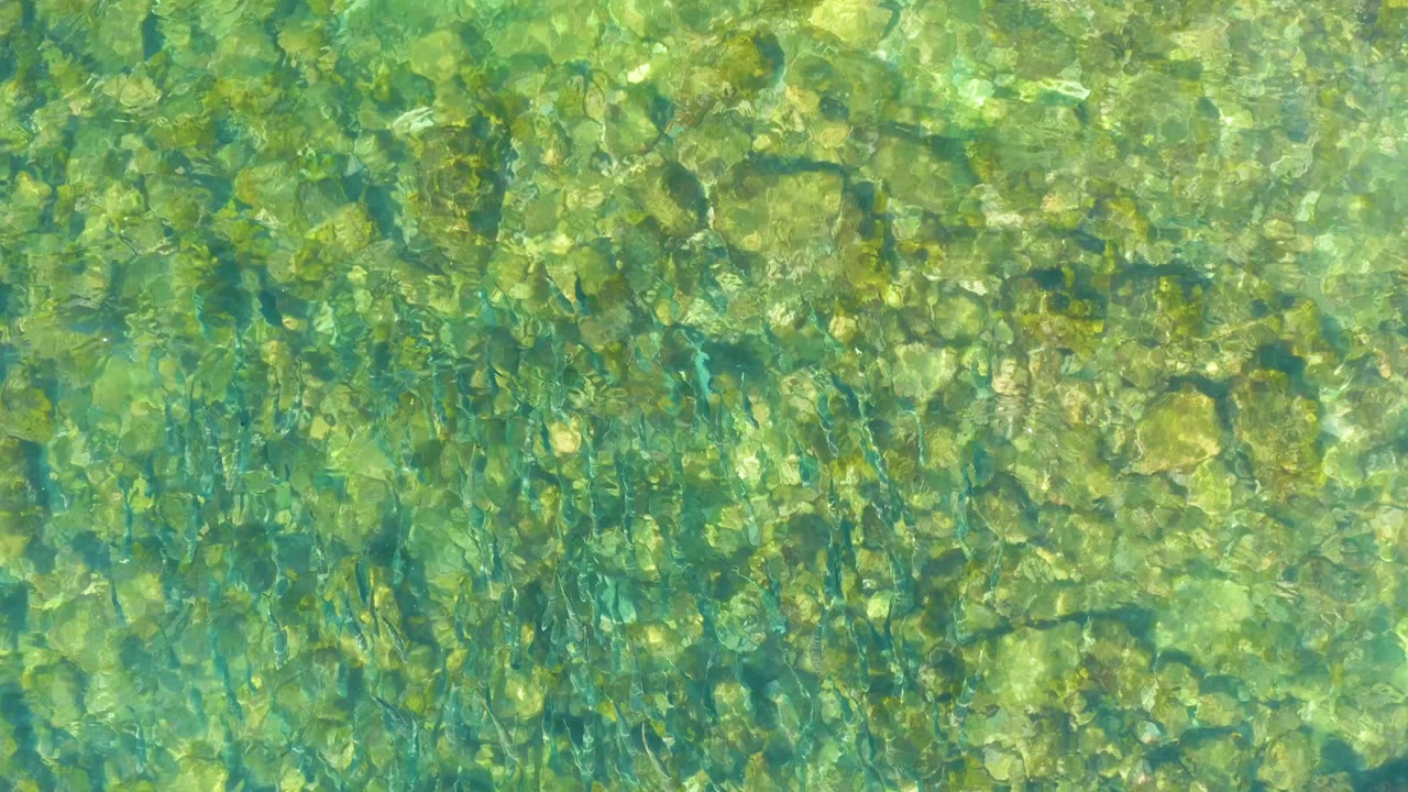 At El Tule Beach Los Cabos, clear green-blue water ripples over a shallow tan rock bed with darker plant-like patches and no visible people.