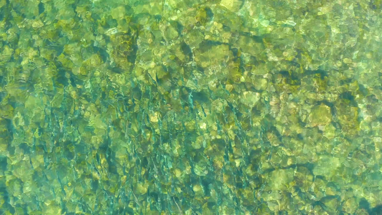 At 0:01, the El Tule Beach Los Cabos frame holds on transparent water where ripples soften the view of small tan rocks and green patches, with no visible people.