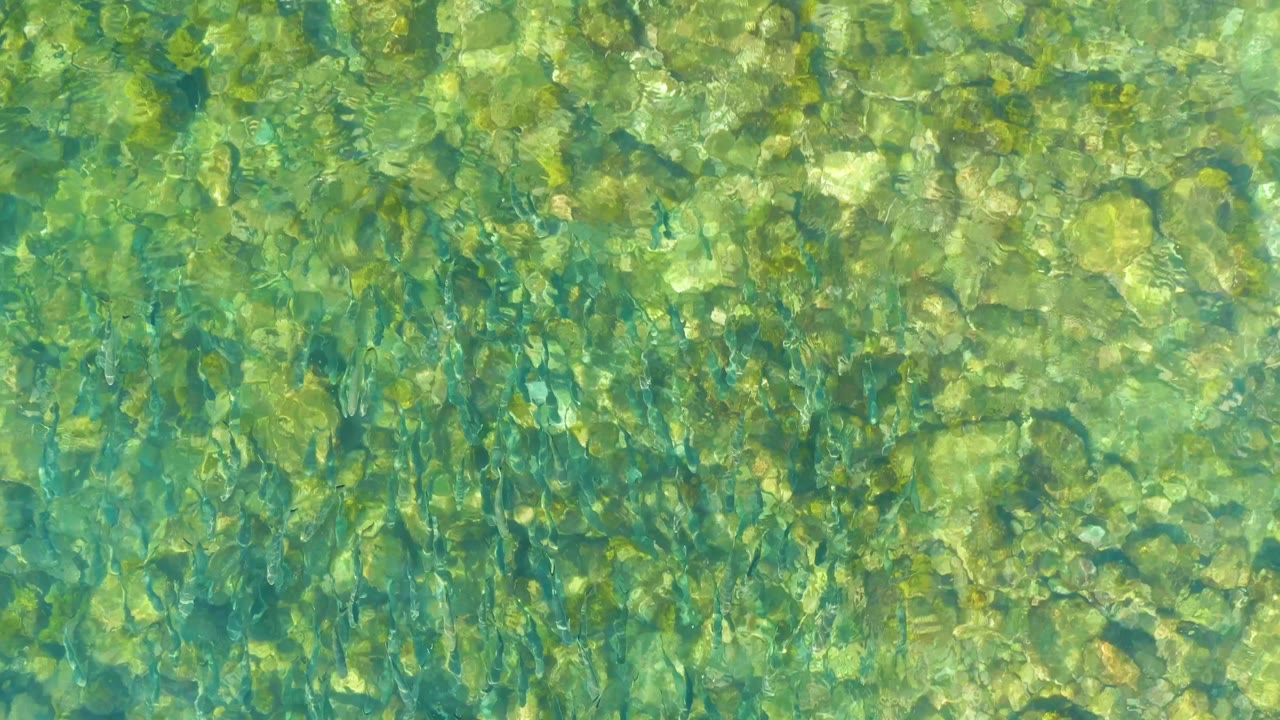At El Tule Beach Los Cabos, the 0:02 frame shows sunlit ripples crossing a shallow rock bed with turquoise and yellow-green tones and no visible people.