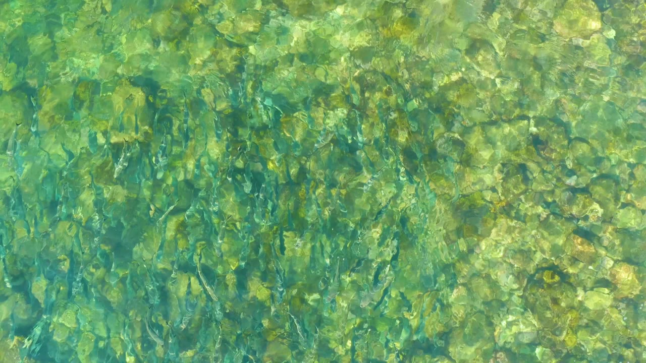 At 0:03, clear water at El Tule Beach Los Cabos reveals a shallow rock bed with darker submerged streaks and broken light patterns, with no visible people.