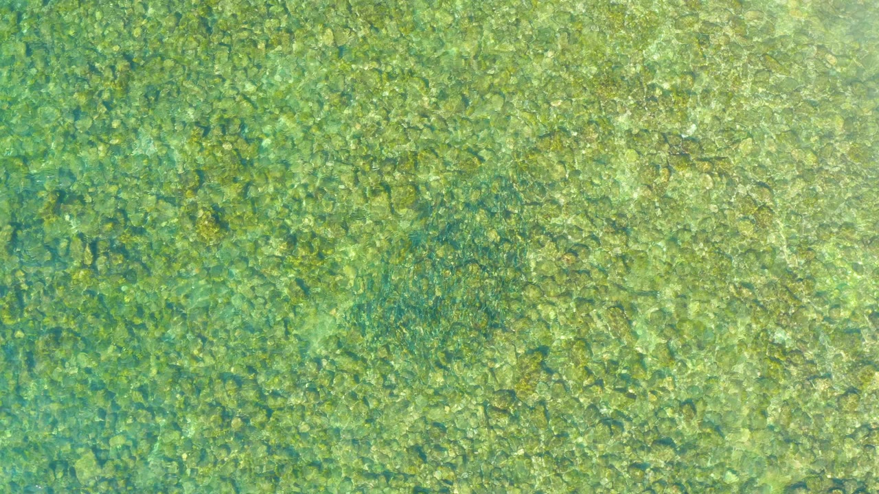 Overhead view of clear green-blue water at El Tule Beach in Los Cabos showing a rocky seabed beneath small surface ripples, with no visible people.