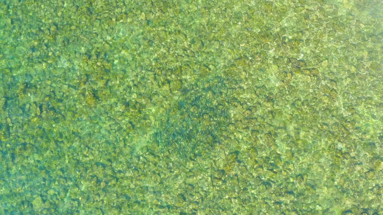 Clear shallow water at El Tule Beach in Los Cabos reveals a yellow-brown rocky ocean floor with slightly brighter ripple patterns crossing the frame, with no visible people.