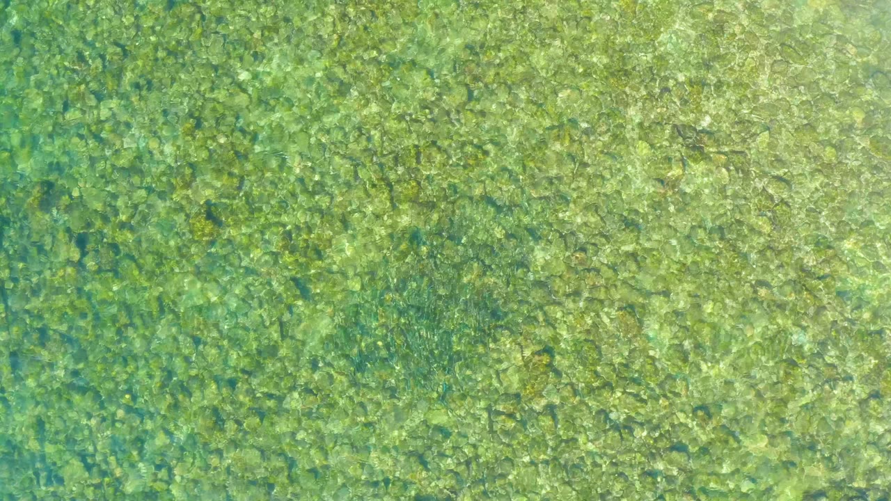 Transparent turquoise-green water at El Tule Beach in Los Cabos shows mottled rocks under a lightly rippled surface, with no shoreline, boats, or visible people.