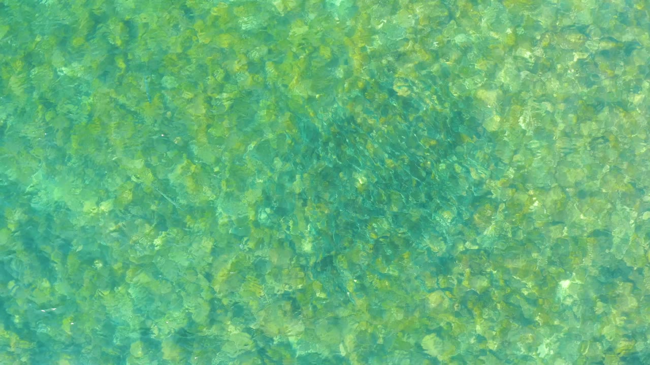 Clear turquoise shallow water over a rocky bottom.
