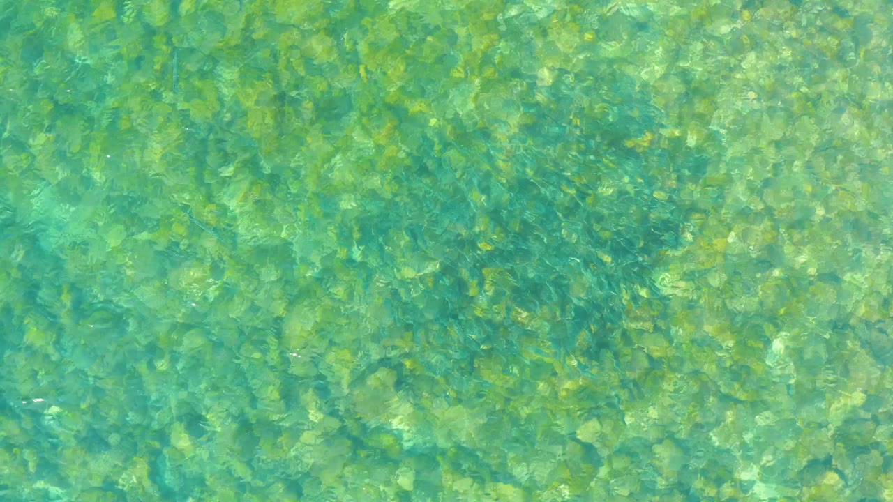 Turquoise shallow water at El Tule Beach Los Cabos reveals mottled stones below the surface and a fine ripple texture, with no visible people.