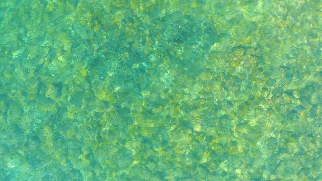 Overhead view of clear shallow water at El Tule Beach Los Cabos, with a green-blue rocky bottom visible and no visible people.