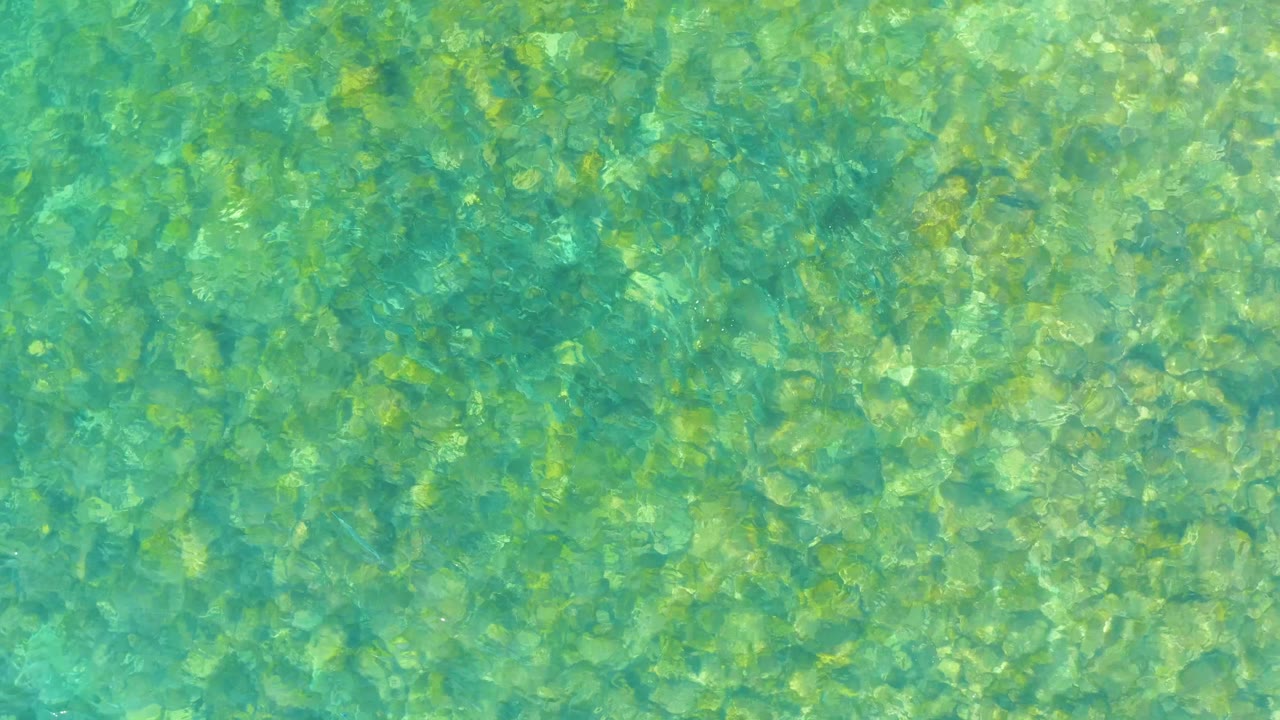 A top-down frame of shallow turquoise water at El Tule Beach Los Cabos reveals mottled rocks below the surface and no visible people.