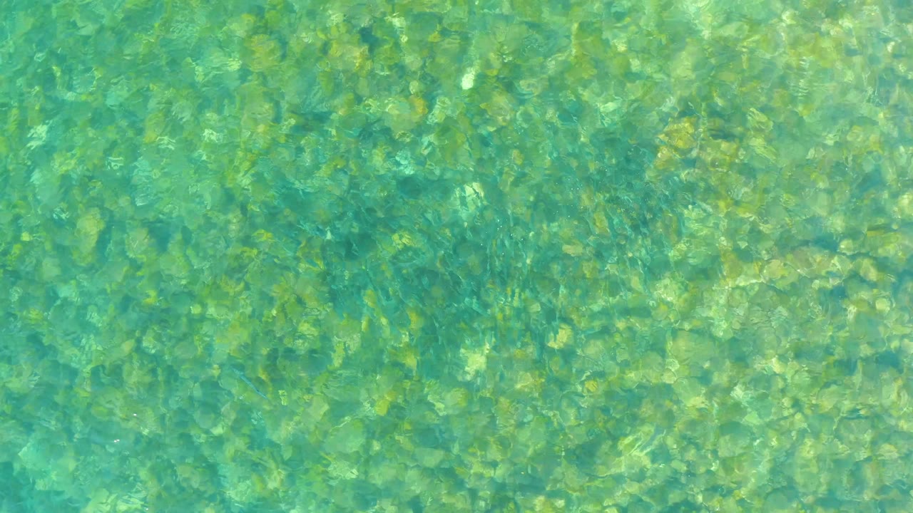 Clear shallow water with a subtle darker band across the surface.