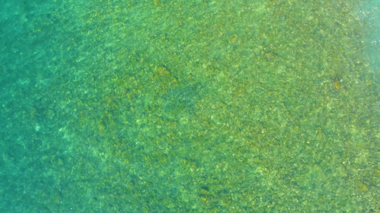 Green turquoise water at El Tule Beach Los Cabos reveals a darker patch on the sea floor beneath soft ripples, with no visible people.