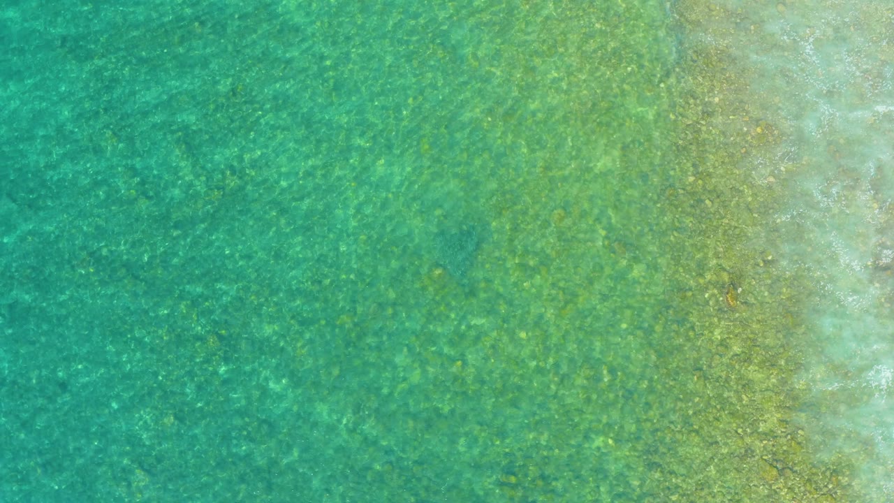 Green shallow ocean water covers the sandy seabed at El Tule Beach in Los Cabos, with fine ripple patterns across the surface and no visible people.