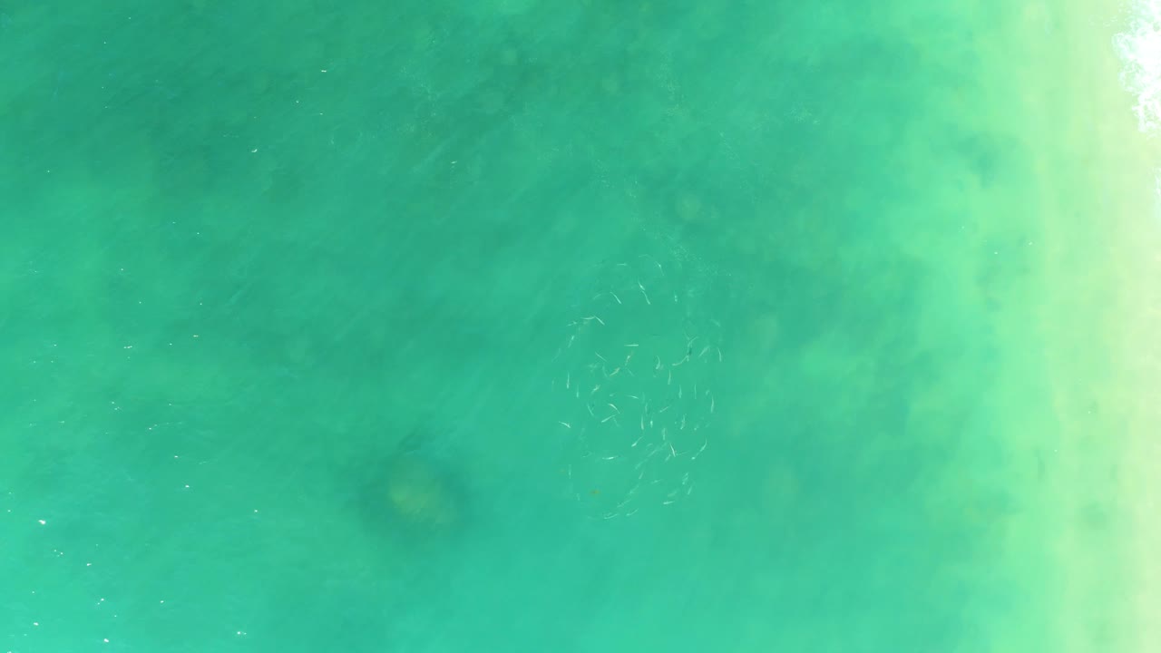 Small fish cluster is visible near the center-right of clear green-turquoise water at El Tule Beach, with soft darker patches below and no visible people.