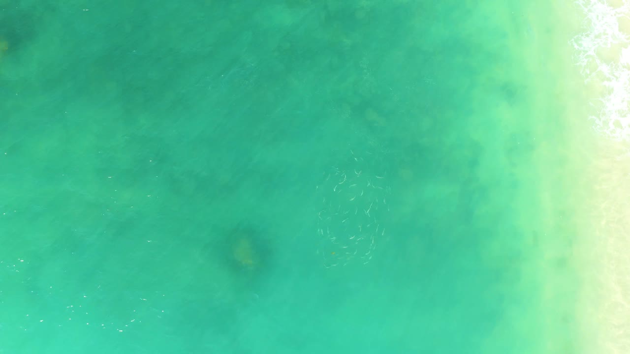 A small fish school moves through the lower center of clear turquoise water at El Tule Beach, with a dark submerged patch to the left and no visible people.