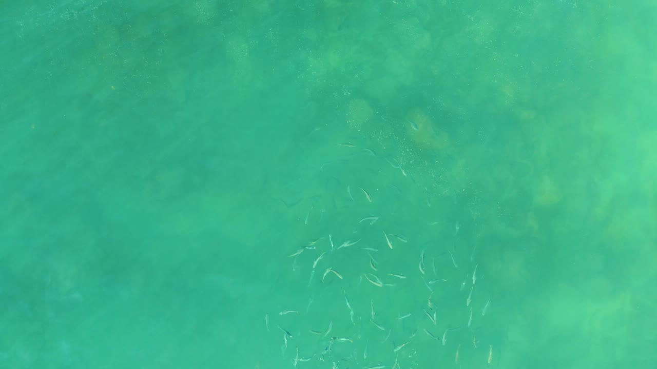 Turquoise ocean water with a small fish school and dark underwater patches.