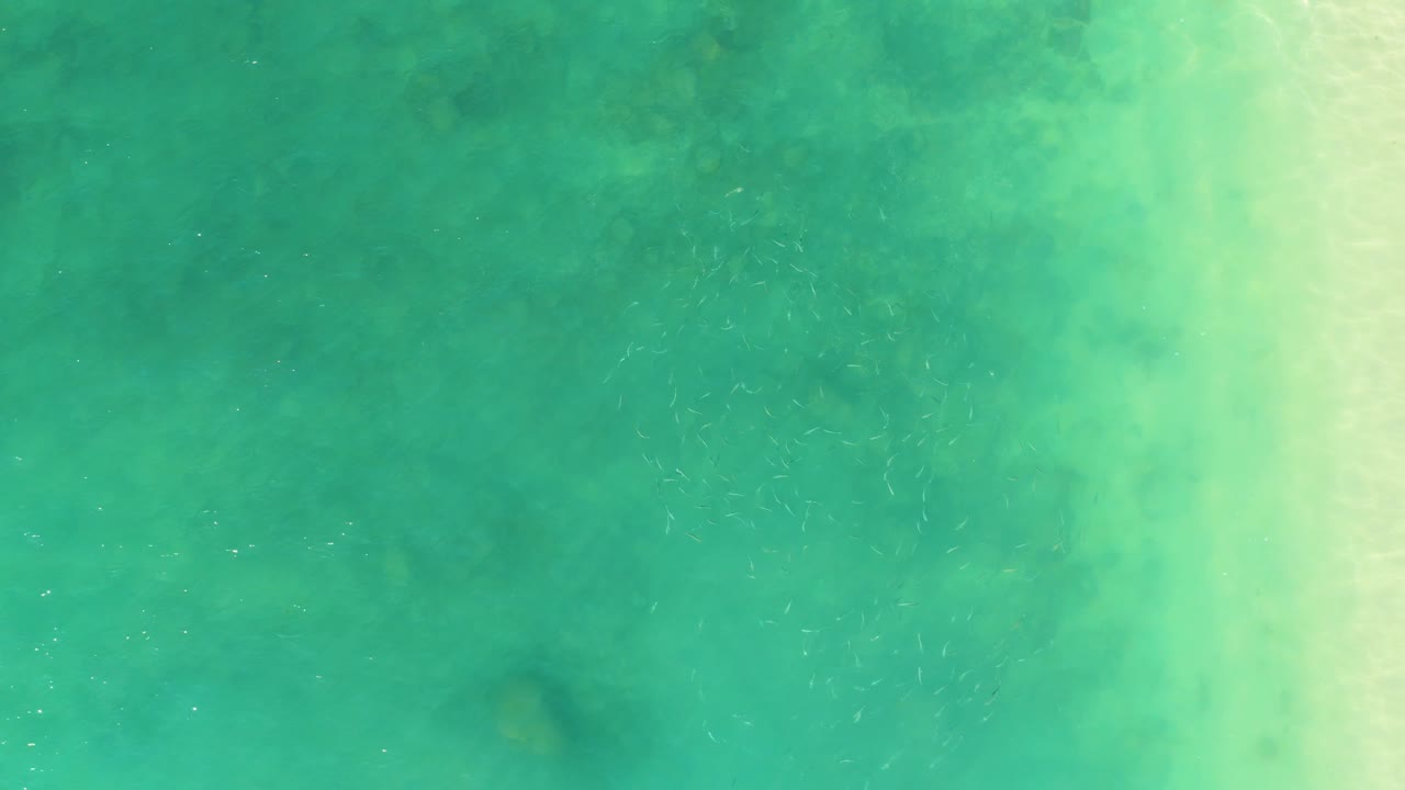 Small fish are faintly visible beneath clear turquoise water at El Tule Beach Los Cabos, with a pale sandy band on the right and no visible people.