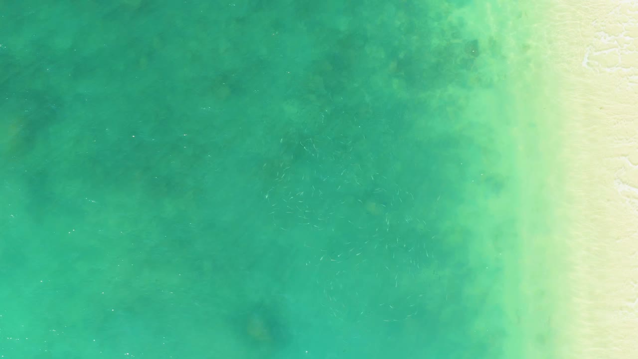 Overhead view of turquoise shallow water meeting pale sand at El Tule Beach in Los Cabos, with no visible people.