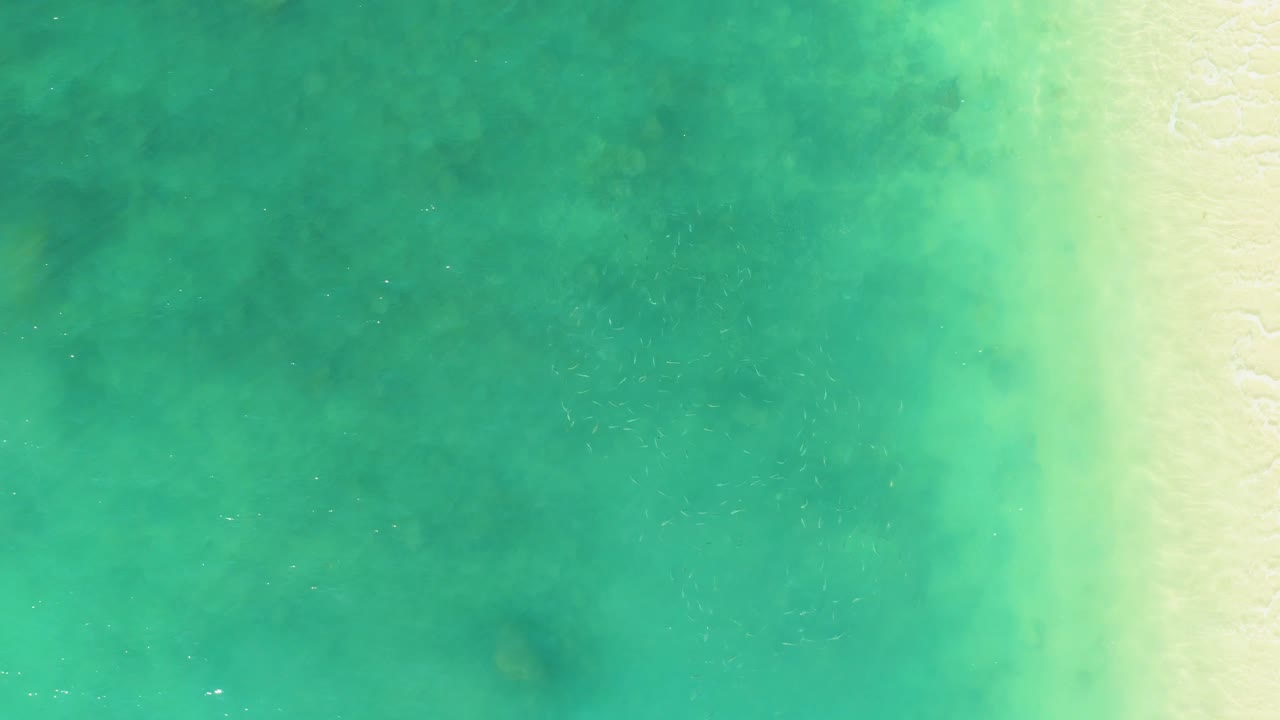 Top-down aerial frame of shallow turquoise water and a narrow sandy beach edge at El Tule Beach, with no visible people.