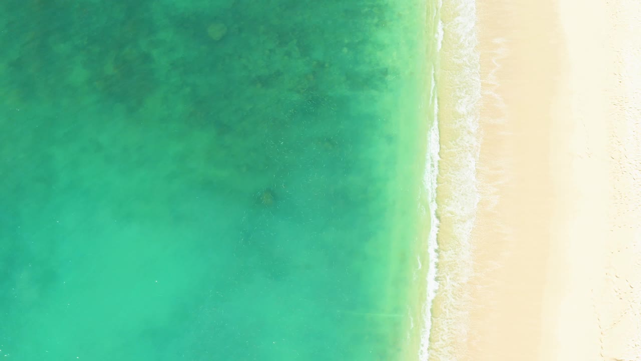 Overhead frame from El Tule Beach Los Cabos showing clear green-blue water, bright sand along the right edge, a thin band of foam, and no visible people.