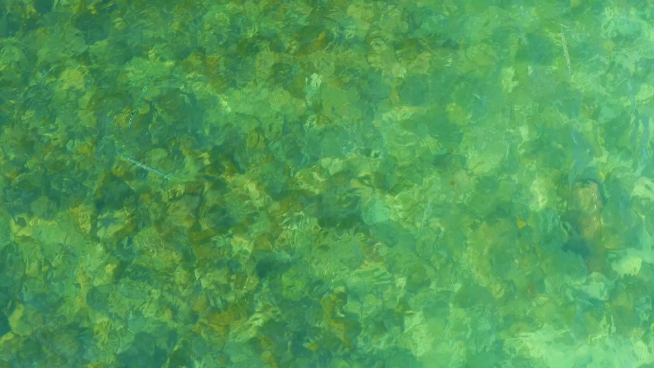 Clear green-blue shallow water over a rocky seabed