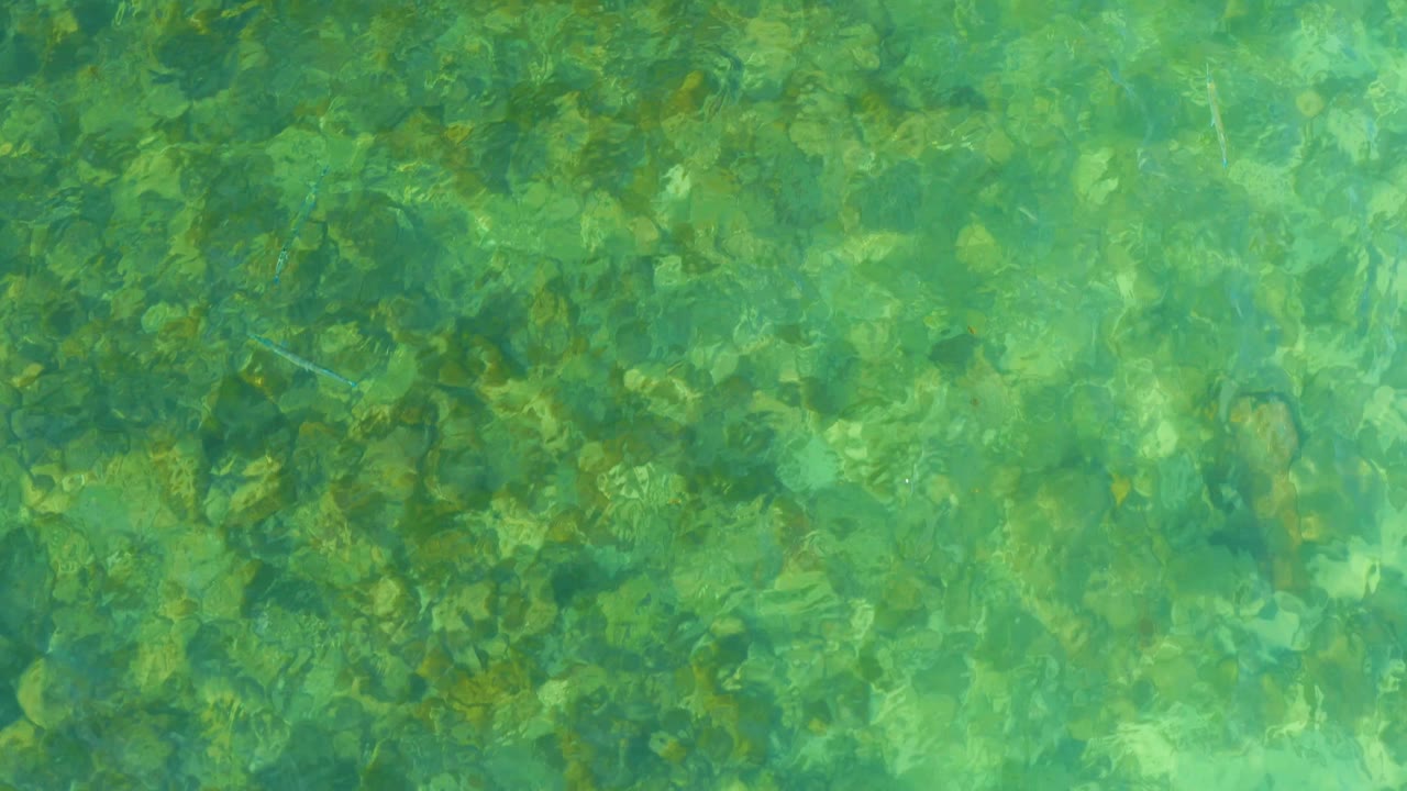 Transparent green water at El Tule Beach in Los Cabos reveals rocks below the surface as light ripples shift across the frame, with no visible people.
