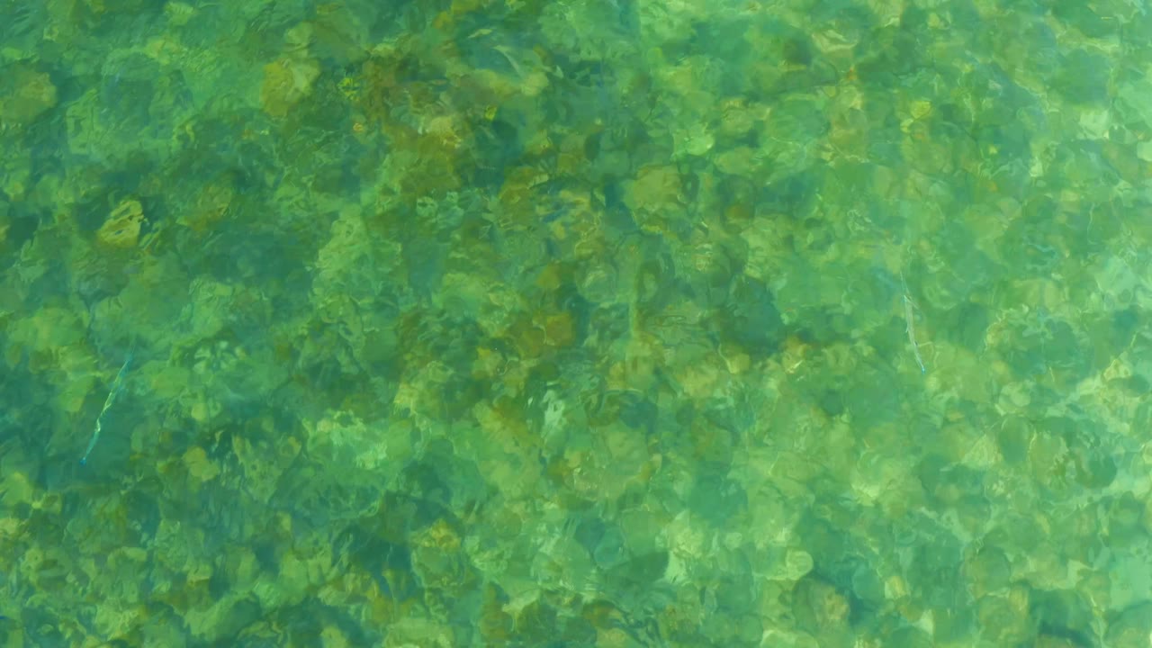 Clear green ocean water at El Tule Beach in Los Cabos shows the rocky seabed beneath a slightly darker band of ripples, with no visible people.